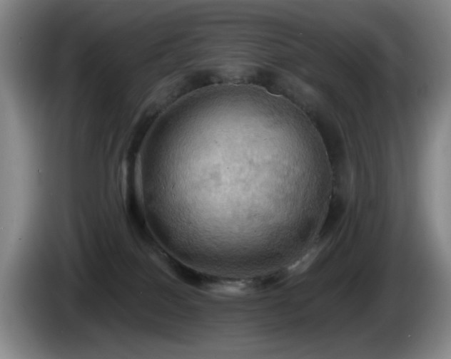 X0000085220086200703091209