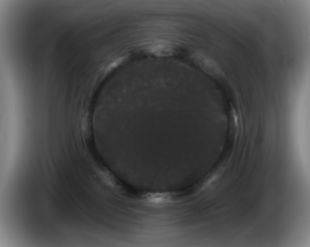 X0000085220088200703091209