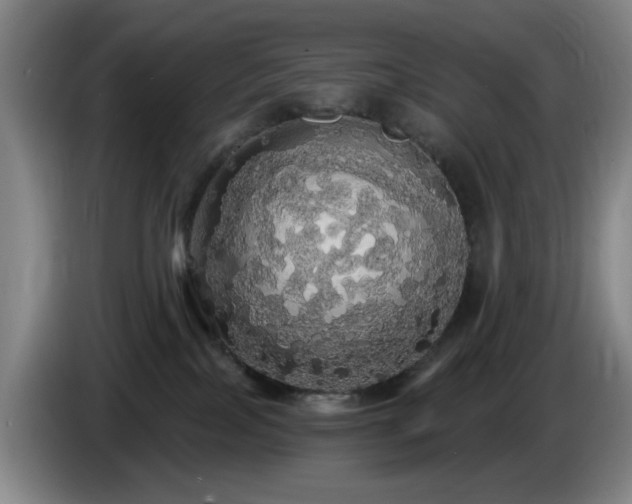 X0000085220089200703091209