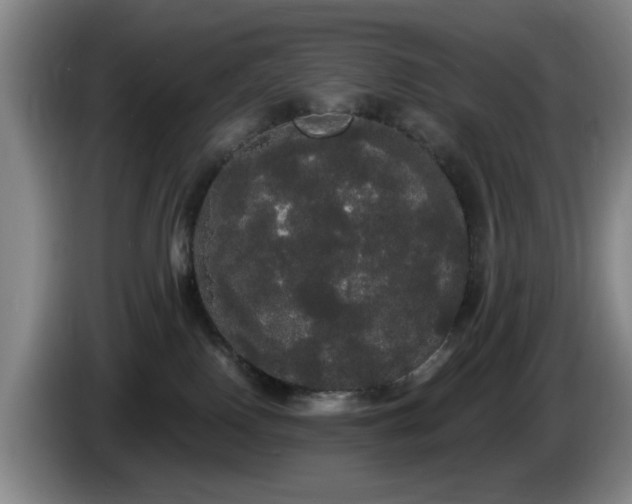 X0000085220090200703091209