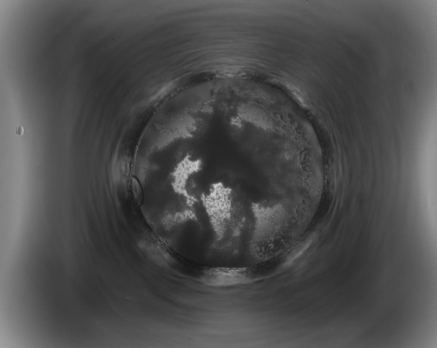 X0000085220093200703091209