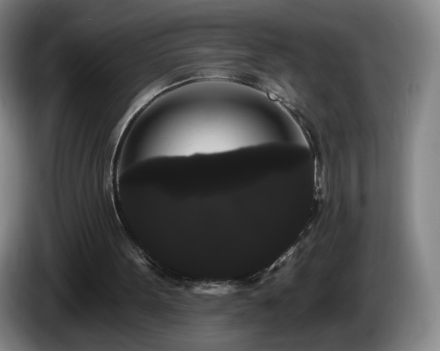 X0000085220099200703091208