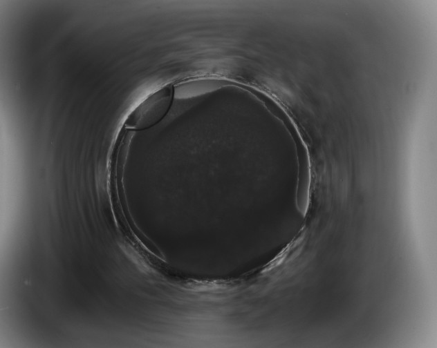 X0000085220100200703091208