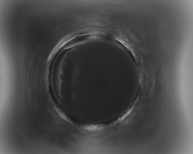 X0000085220101200703091208
