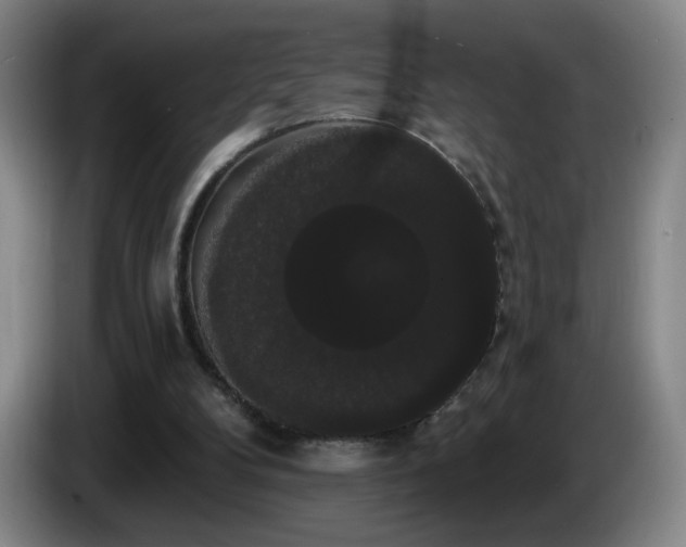 X0000085220104200703091208