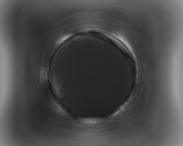 X0000085220105200703091208