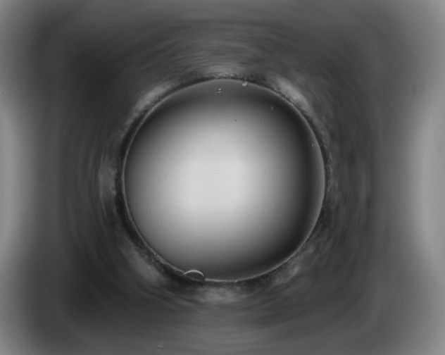 X0000085220106200703091208