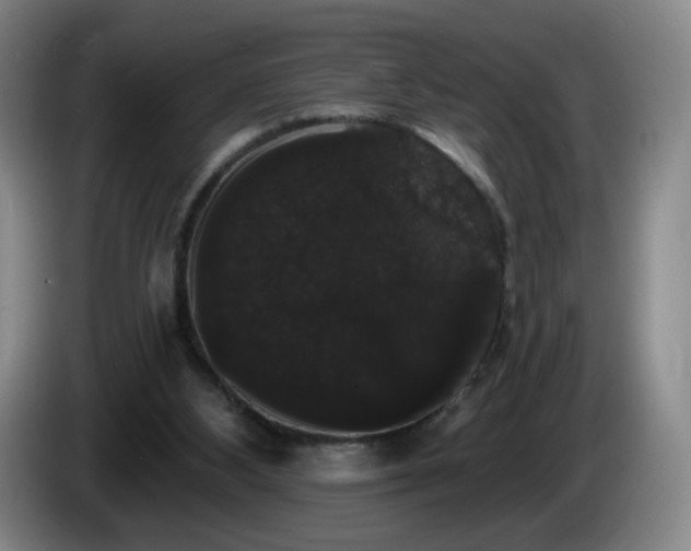 X0000085220108200703091208