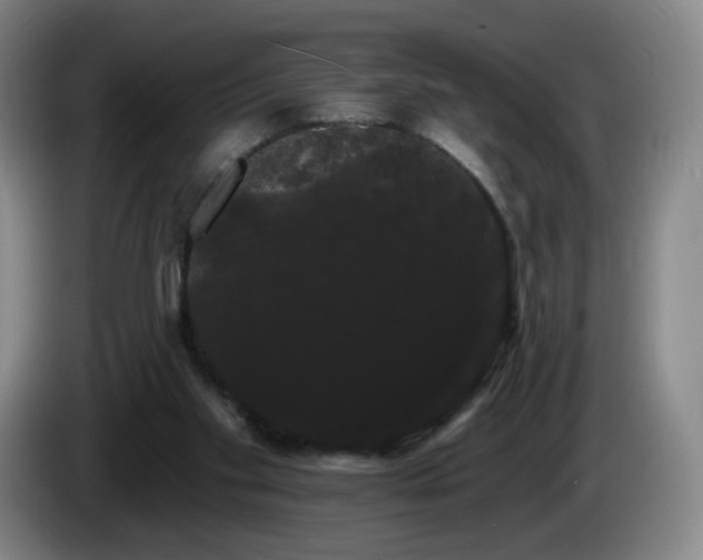 X0000085220109200703091208