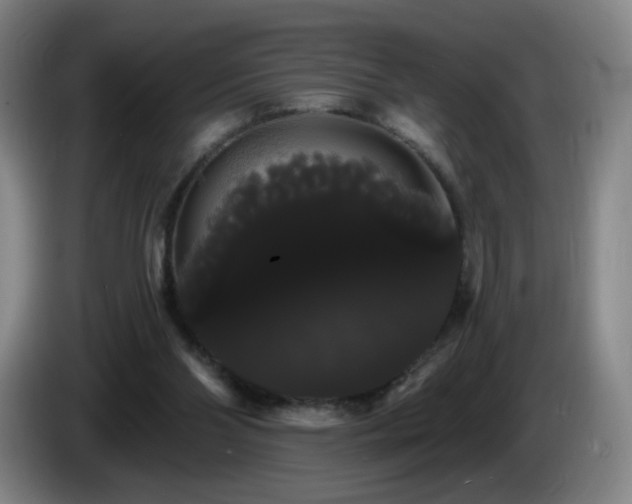 X0000085220110200703091208