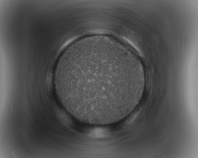 X0000085220111200703091208