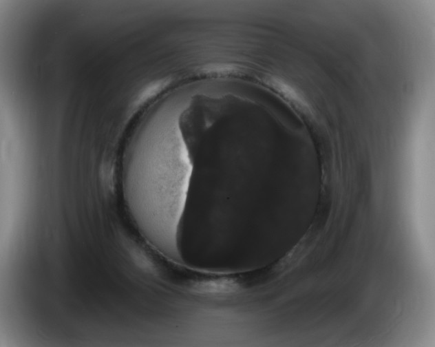 X0000085220112200703091208