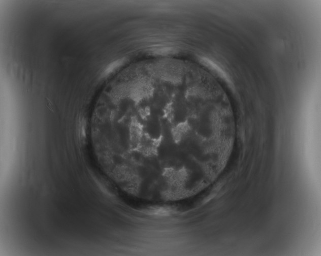 X0000085220115200703091208
