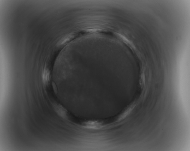 X0000085220117200703091208