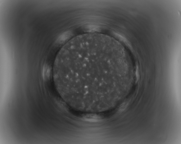 X0000085220123200703091208