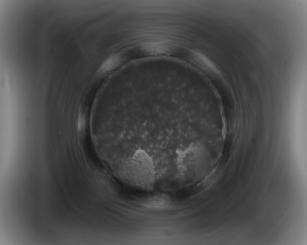 X0000085220124200703091208