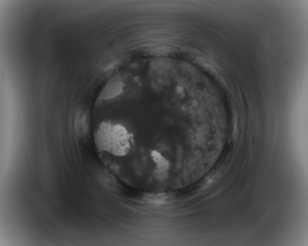 X0000085220131200703091208