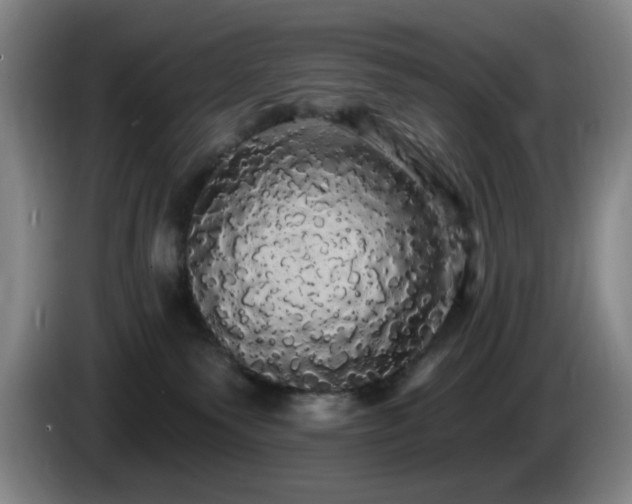 X0000085220135200703091208