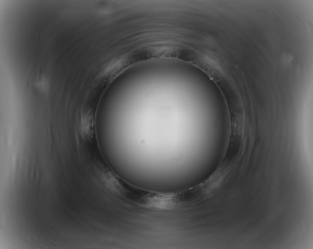 X0000085220138200703091208