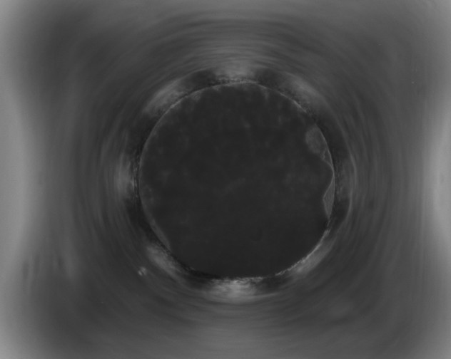 X0000085220140200703091208