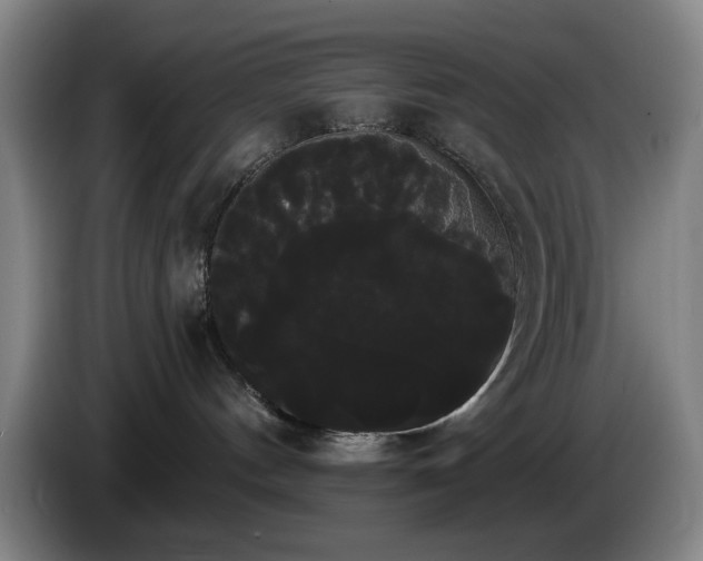 X0000085220144200703091208