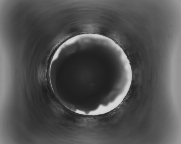 X0000085220146200703091207