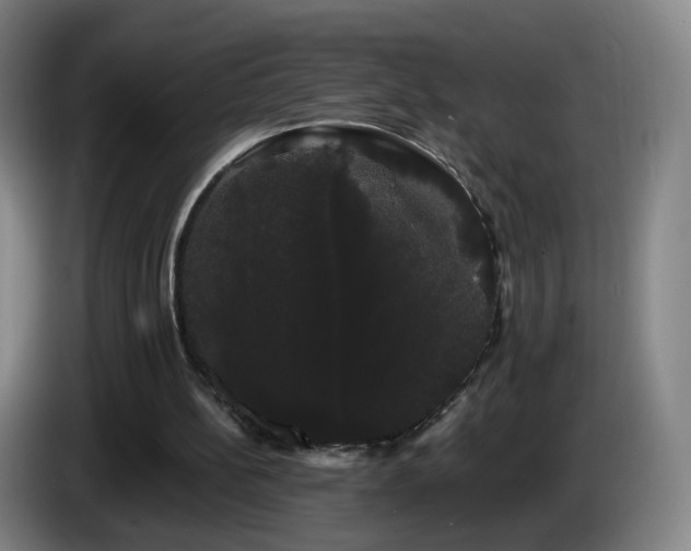 X0000085220148200703091207