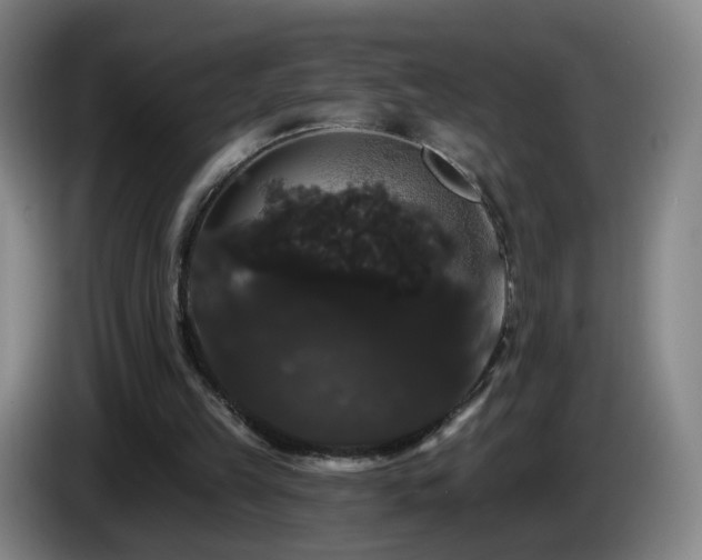 X0000085220149200703091207