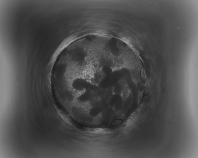 X0000085220151200703091207