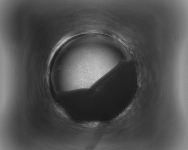 X0000085220152200703091207