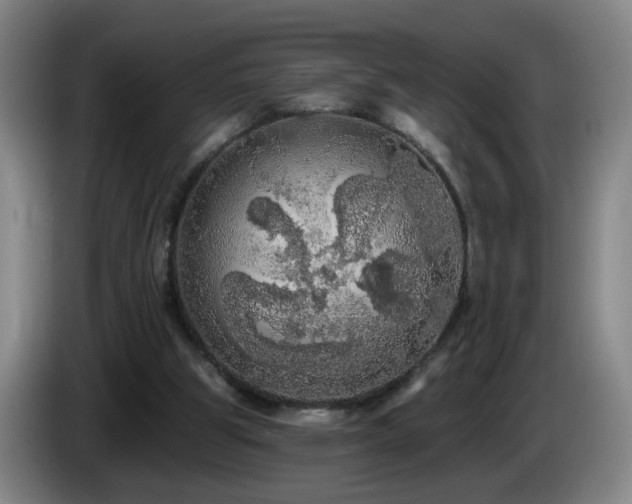 X0000085220153200703091207