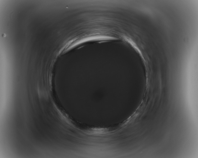 X0000085220154200703091207
