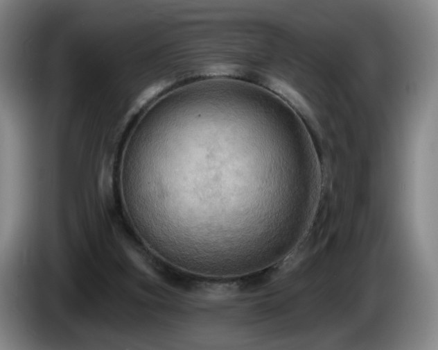 X0000085220155200703091207