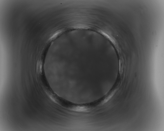 X0000085220157200703091207
