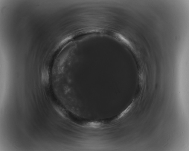 X0000085220158200703091207