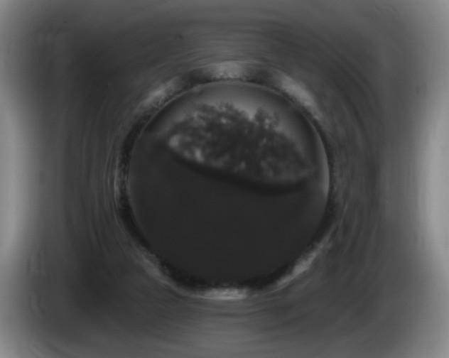 X0000085220161200703091207