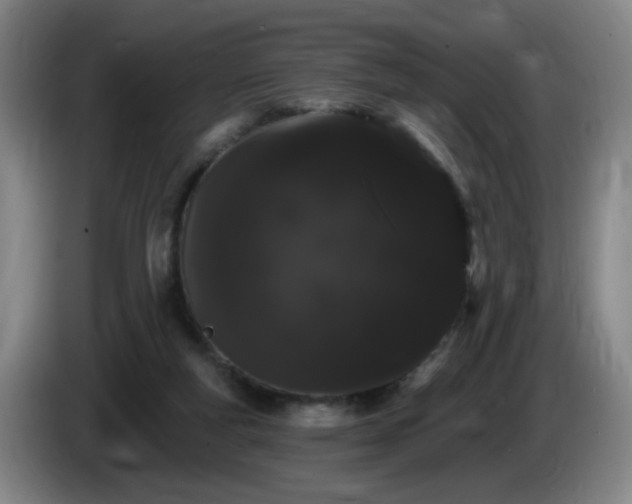 X0000085220163200703091207