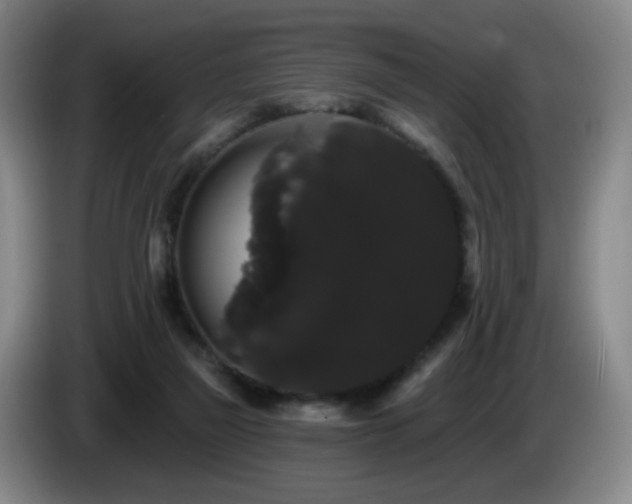 X0000085220165200703091207