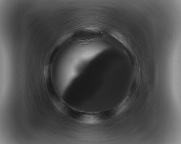 X0000085220167200703091207