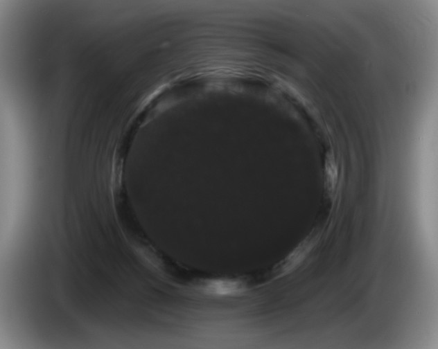 X0000085220168200703091207