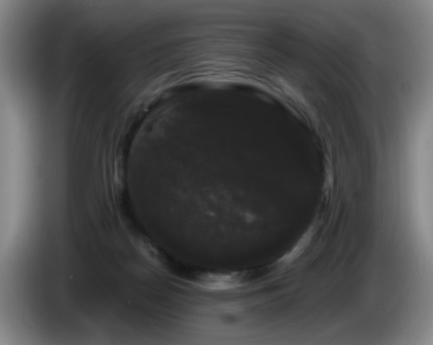 X0000085220170200703091208