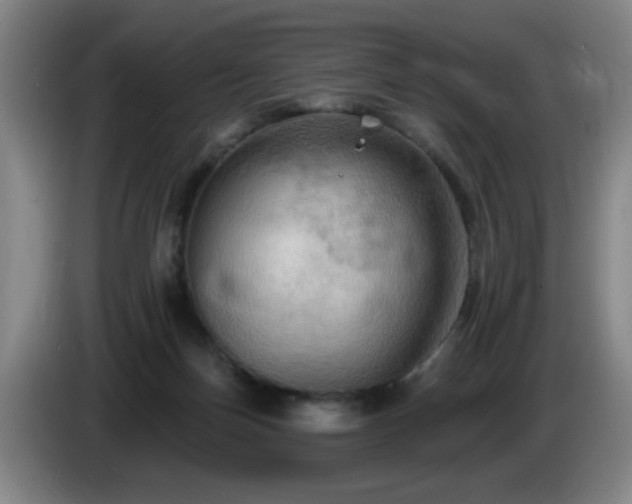 X0000085220171200703091208