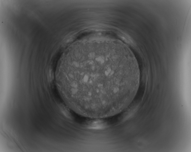 X0000085220173200703091208