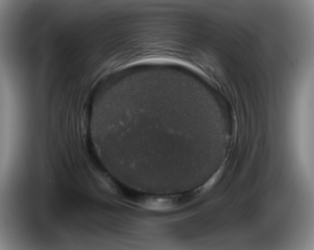 X0000085220174200703091208