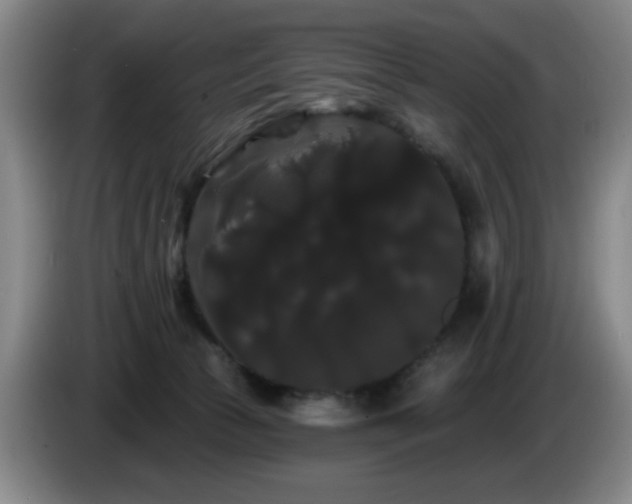 X0000085220177200703091208