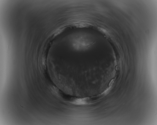 X0000085220178200703091208