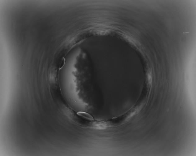 X0000085220181200703091208