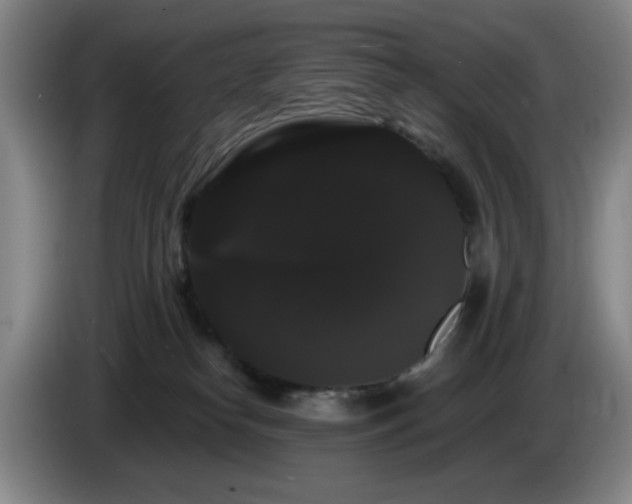 X0000085220182200703091208