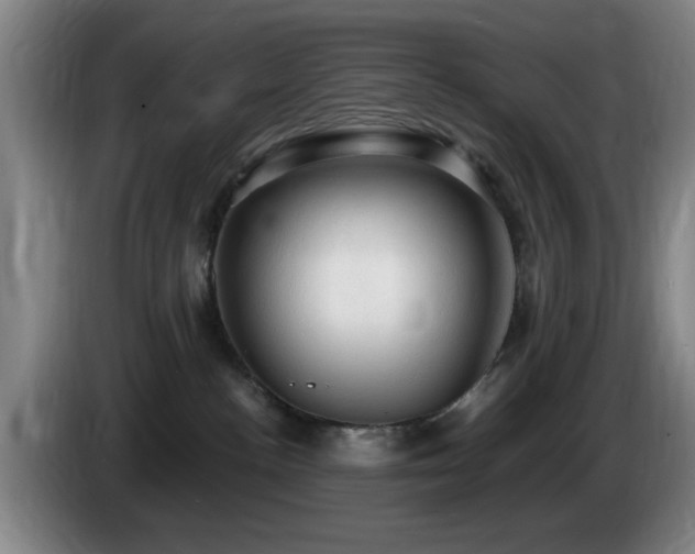 X0000085220188200703091208