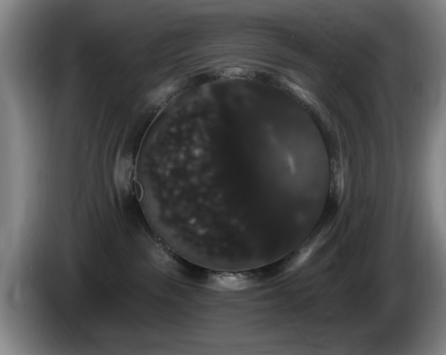 X0000085220189200703091208